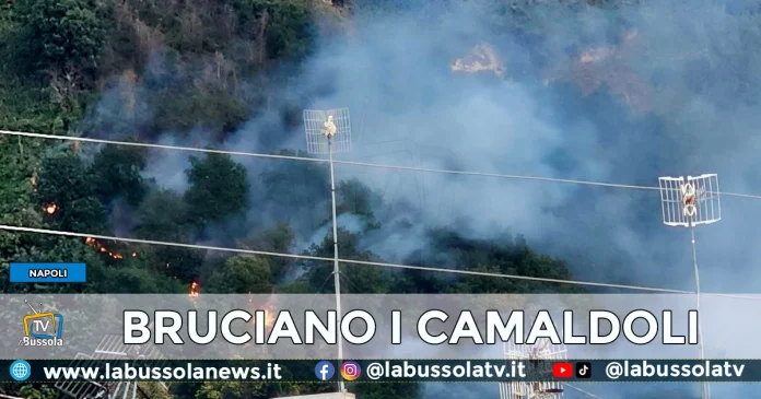 INCENDIO COLLINA CAMALDOLI NAPOLI