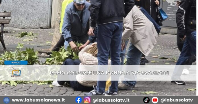Napoli, paura al Vomero ramo precipita tra la folla in via Scarlatti, ferita una donna