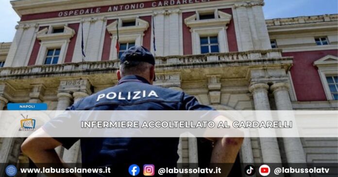 Napoli, violenza al Cardarelli infermiere accoltellato durante un tentativo di rapina