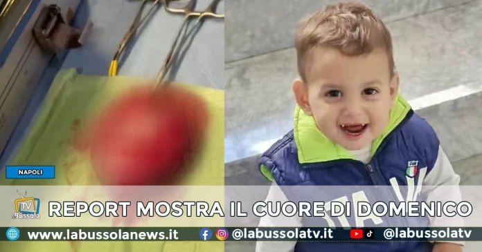 REPORT CUORE ESPIANTATO DOMENICO CALIENDO