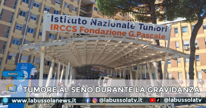 tumore al seno durante la gravidanza