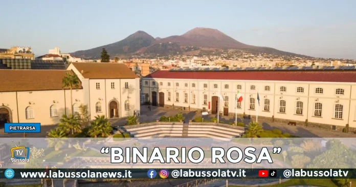 BINARO ROSA MUSEO FERROVIARIO PIETRARSA