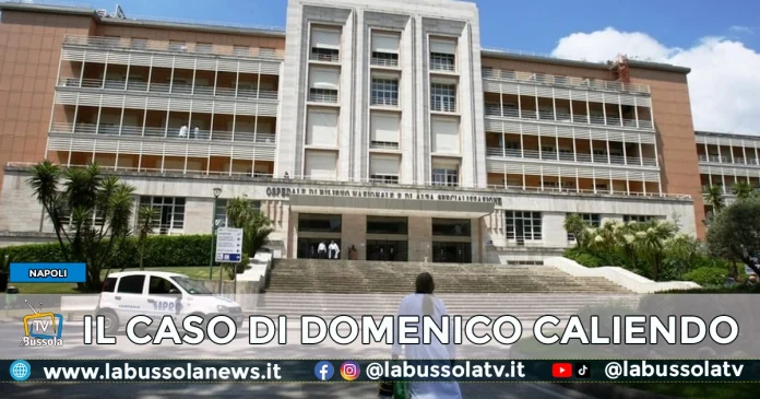 DOMENICO CALIENDO