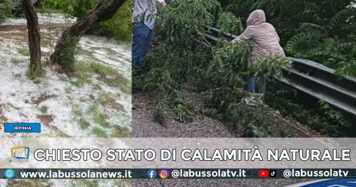 Irpinia stato di calamità naturale