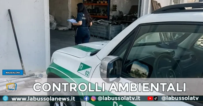 MADDALONI OPERAZIONE POLIZIA PROVINCIALE CASERTA