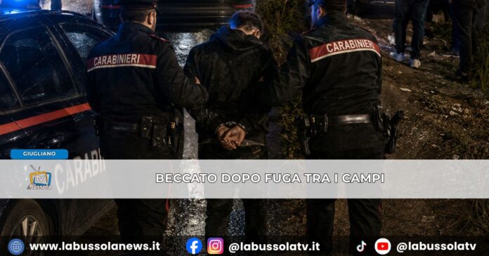 Si nasconde nei campi dopo la fuga, ma cade nella trappola dei carabinieri arrestato 19enne a Giugliano