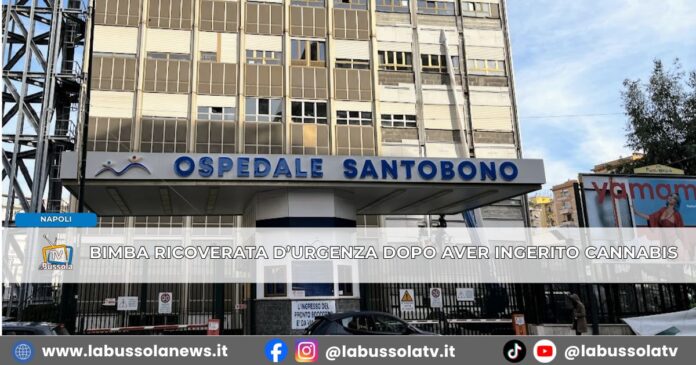 Bimba di due anni ricoverata d'urgenza al Santobono di Napoli, avrebbe ingerito cannabis