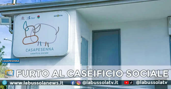 CASAPESENNA FURTO CASEIFICIO SOCIALE