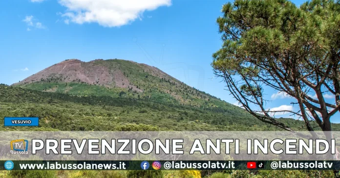 PARCO NAZIONALE DEL VESUVIO PREVENZIONE INCENDI