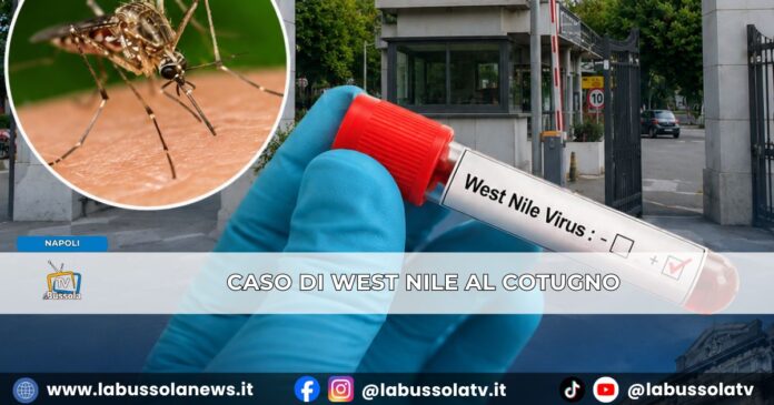 Ricoverato per West Nile al Cotugno di Napoli, l’Azienda Ospedaliera dei Colli “su paziente nessun elemento preoccupante”