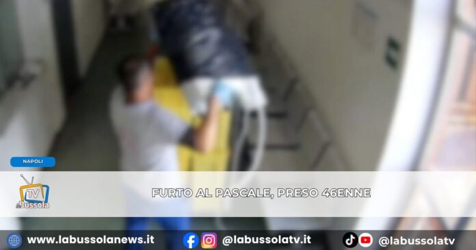 Furto al Pascale di Napoli, condizionatore portato via da una sala d’attesa tradito dalla targa ripresa dalle telecamere