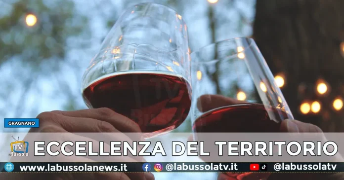 GRAGNANO VINO