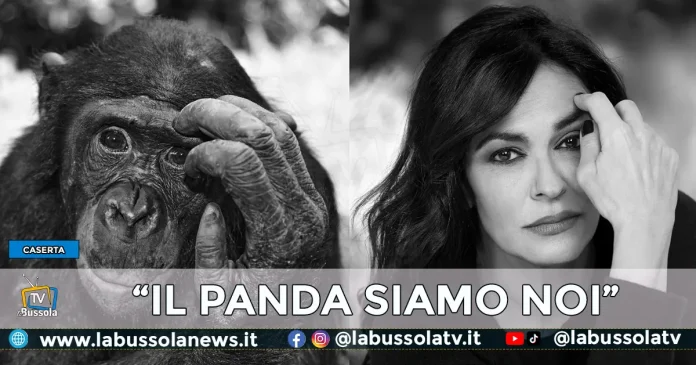 IL PANDA SIAMO NOI REGGIA DI CASERTA
