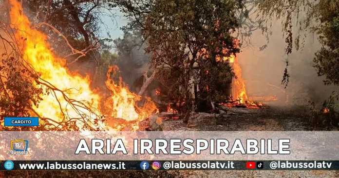 INCENDIO CARDITO