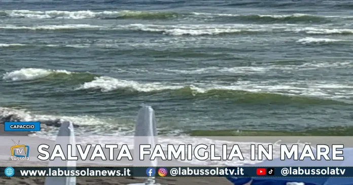 Lifeguardpaestum