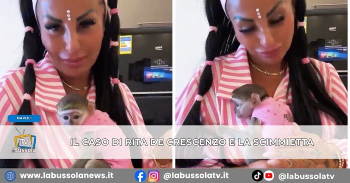 Rita De Crescenzo, il caso della scimmietta sui social versioni contrastanti e divieti in Italia ed Egitto