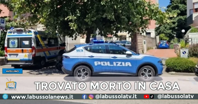 SERGIO TIA AVELLINO