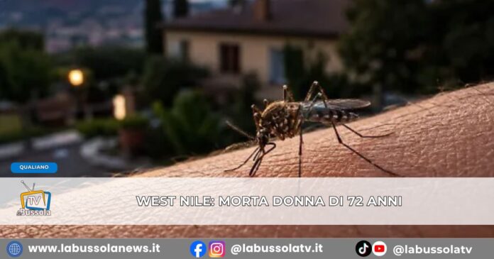 West Nile morta a Qualiano una donna di 72 anni. Il Sindaco Condoglianze alla famiglia