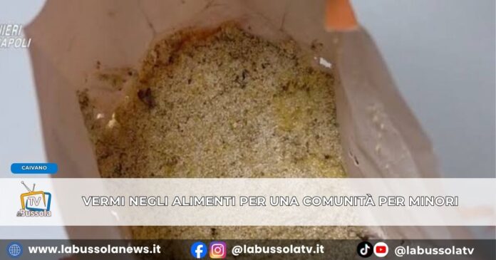 _A Caivano vermi in alimenti destinati a comunità alloggio per minori