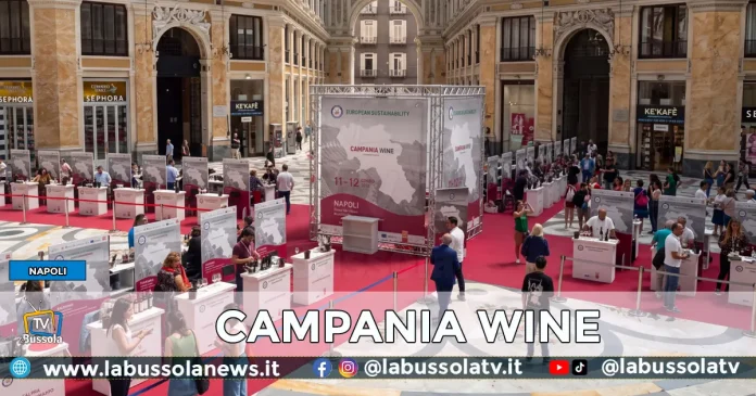 CAMPANIA WINE