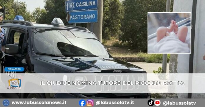 Mattia resta in terapia intensiva, svolta sul neonato di Pignataro il giudice affida la tutela al direttore sanitario del Cardarelli