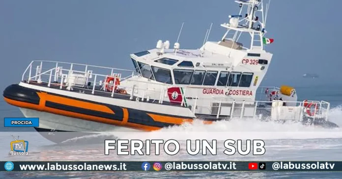 PROCIDA SUB FERITO