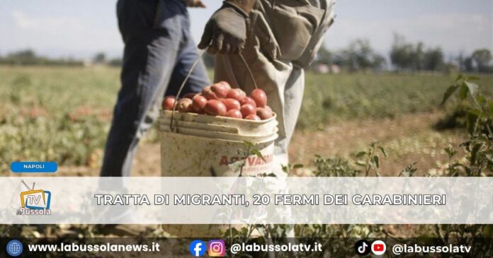 Tratta dei Migranti, caporalato e riduzione in schiavitù, 20 cittadini stranieri fermati dai Carabinieri anche in provincia di Napoli