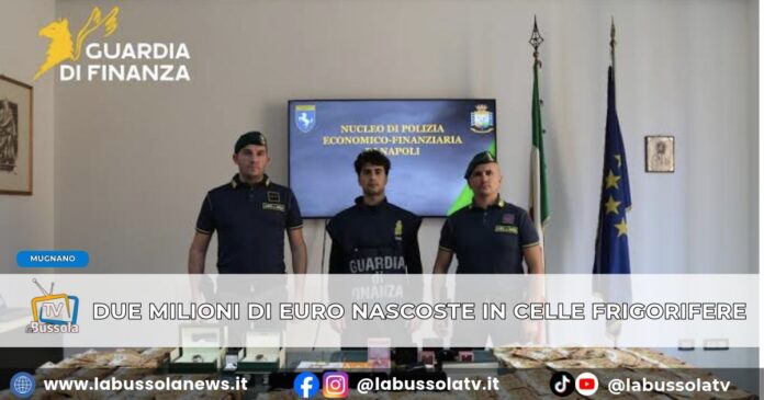Frode sull'Iva del pesce, due milioni nascosti nelle celle frigorifere di una ditta con sede a Mugnano
